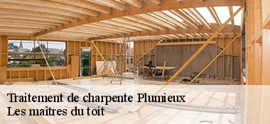 Traitement de charpente  22210