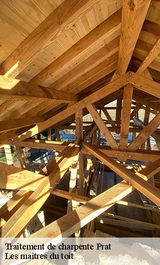 Traitement de charpente  22140