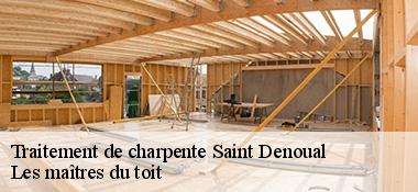 Traitement de charpente  22400