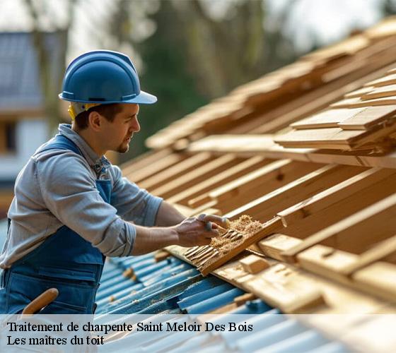 Traitement de charpente  22980