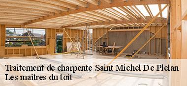 Traitement de charpente  22980