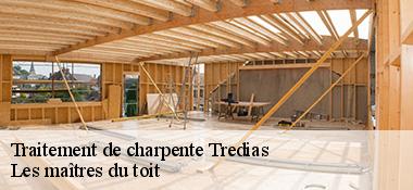 Traitement de charpente  22250