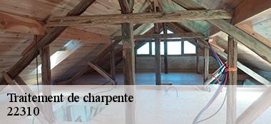 Traitement de charpente  22310