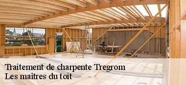 Traitement de charpente  22420