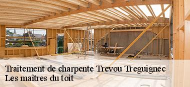 traitement-de-charpente