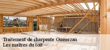 traitement-de-charpente