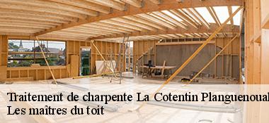 Traitement de charpente  22400