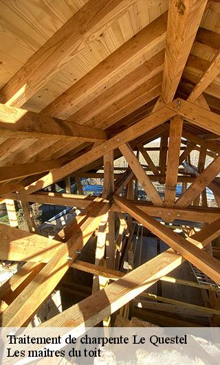 Traitement de charpente  22470