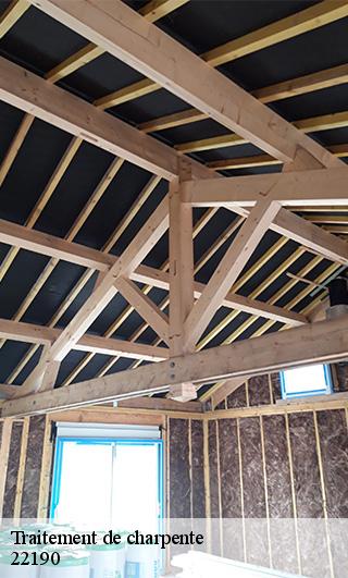 Traitement de charpente  22190