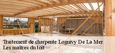 Traitement de charpente  22620