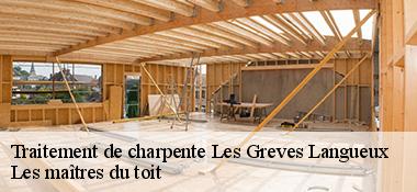 Traitement de charpente  22360