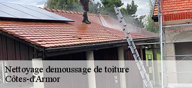 Nettoyage demoussage de toiture Côtes-d'Armor 
