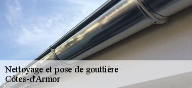 Nettoyage et pose de gouttière Côtes-d'Armor 
