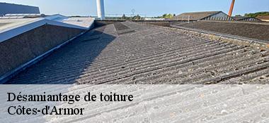 Désamiantage de toiture Côtes-d'Armor 
