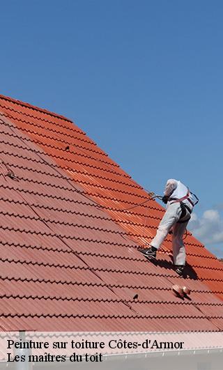 Peinture sur toiture Côtes-d'Armor 