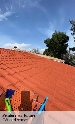 Peinture sur toiture Côtes-d'Armor 