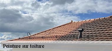 Peinture sur toiture Côtes-d'Armor 