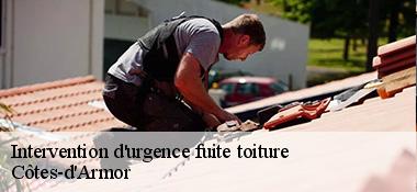 Intervention d'urgence fuite toiture  Côtes-d'Armor 