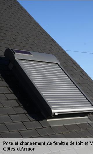 pose-et-changement-de-fenetre-de-toit-et-velux