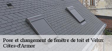pose-et-changement-de-fenetre-de-toit-et-velux