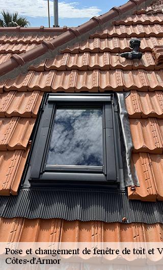 Pose et changement de fenêtre de toit et Velux Côtes-d'Armor 