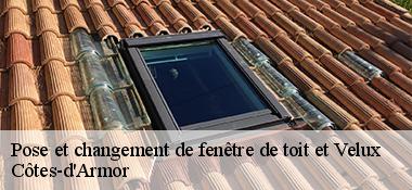 Pose et changement de fenêtre de toit et Velux Côtes-d'Armor 