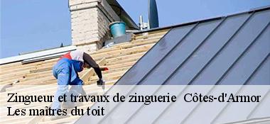 Zingueur et travaux de zinguerie  Côtes-d'Armor 
