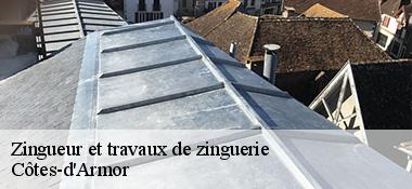 Zingueur et travaux de zinguerie  Côtes-d'Armor 