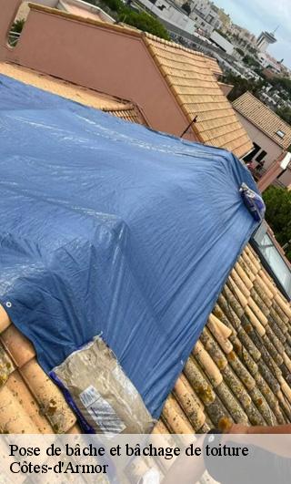 Pose de bâche et bâchage de toiture Côtes-d'Armor 