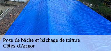 Pose de bâche et bâchage de toiture Côtes-d'Armor 