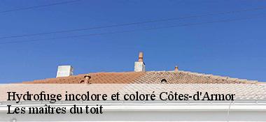 Hydrofuge incolore et coloré Côtes-d'Armor 