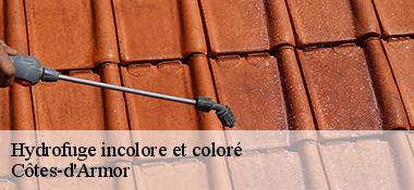 Hydrofuge incolore et coloré Côtes-d'Armor 