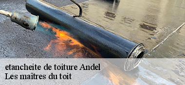 etancheite de toiture  22400