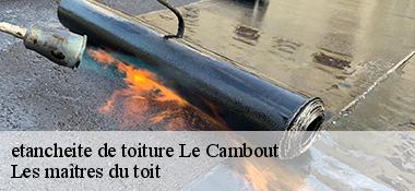 etancheite de toiture  22210