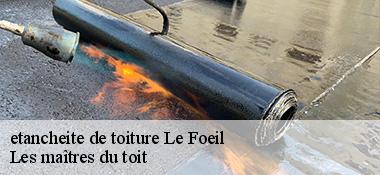 etancheite de toiture  22800