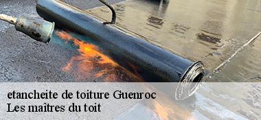 etancheite de toiture 22350
