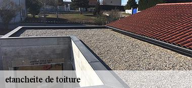 etancheite de toiture  22480