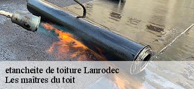 etancheite de toiture 22170