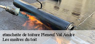 etancheite de toiture  22370