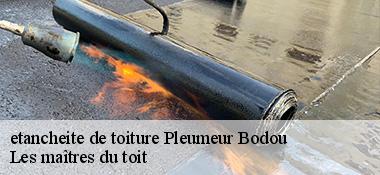 etancheite de toiture 22560