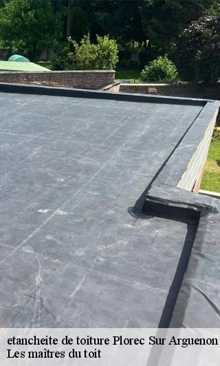 etancheite de toiture 22130