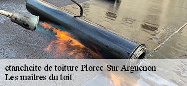 etancheite de toiture 22130