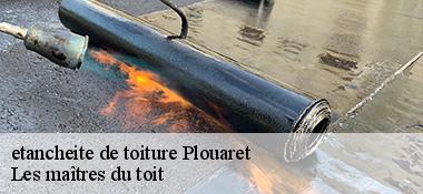 etancheite de toiture 22420