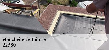 etancheite de toiture 22580