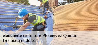 etancheite de toiture  22110