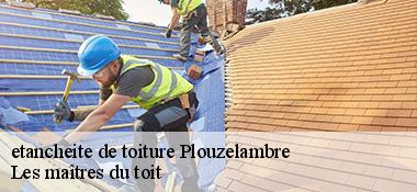 etancheite de toiture  22420