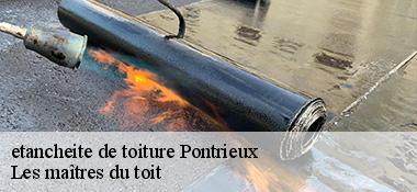 etancheite de toiture 22260