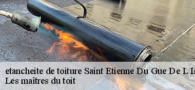 etancheite de toiture 22210