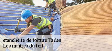 etancheite de toiture  22100