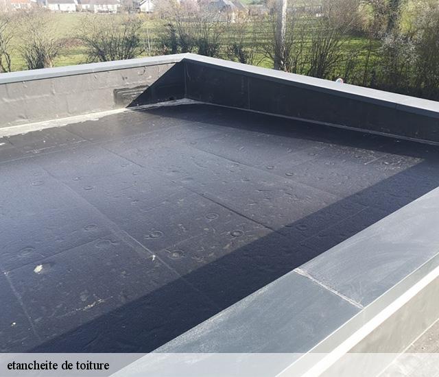 etancheite de toiture 22200